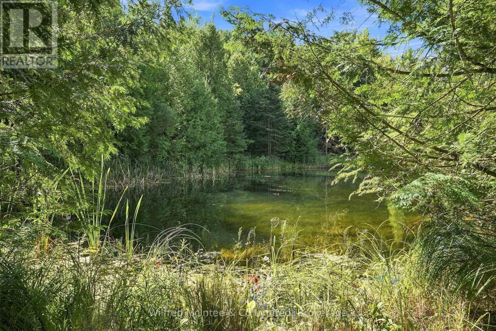 493537 Baptist Church Road W, West Grey, Ontario  N0C 1K0 - Photo 41 - X13764290