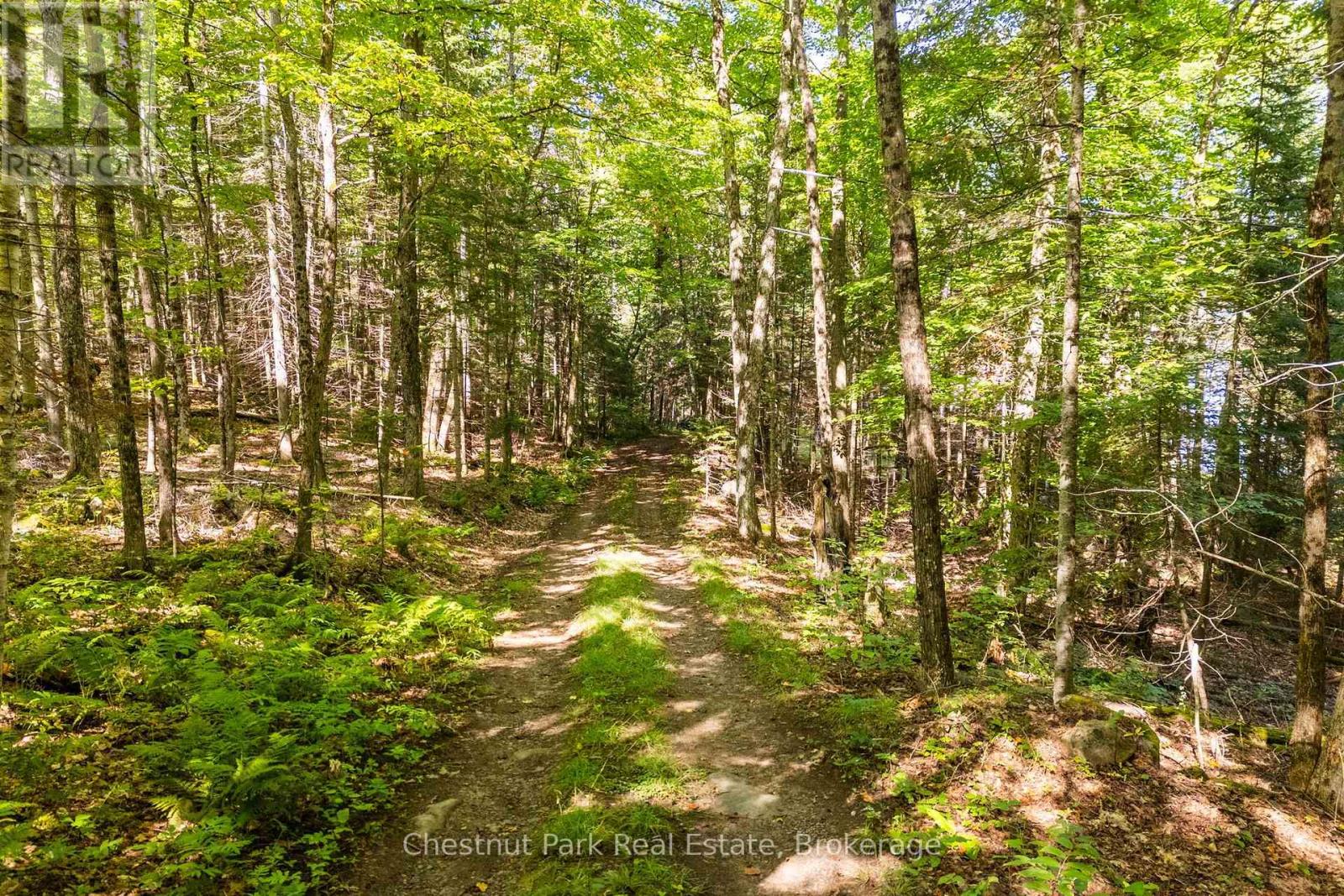 4339 Muskoka Road 117 Road, Lake Of Bays, Ontario  P0B 1A0 - Photo 19 - X13764314