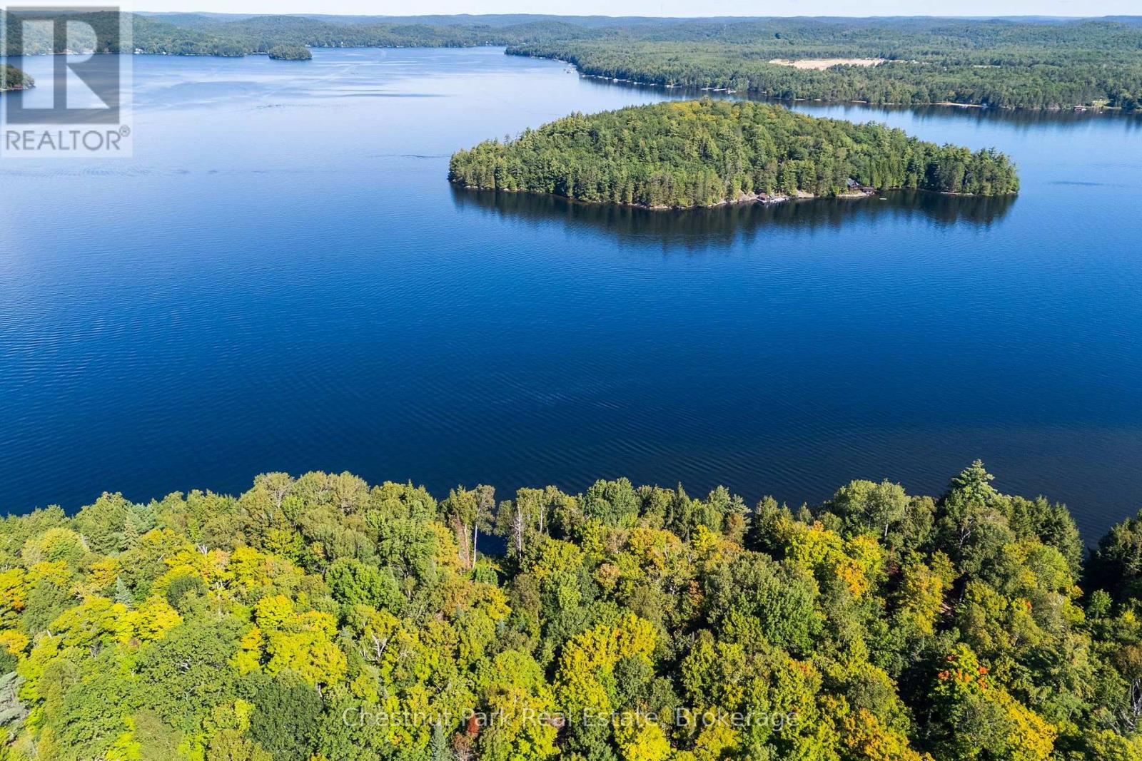 4339 Muskoka Road 117 Road, Lake Of Bays, Ontario  P0B 1A0 - Photo 27 - X13764314