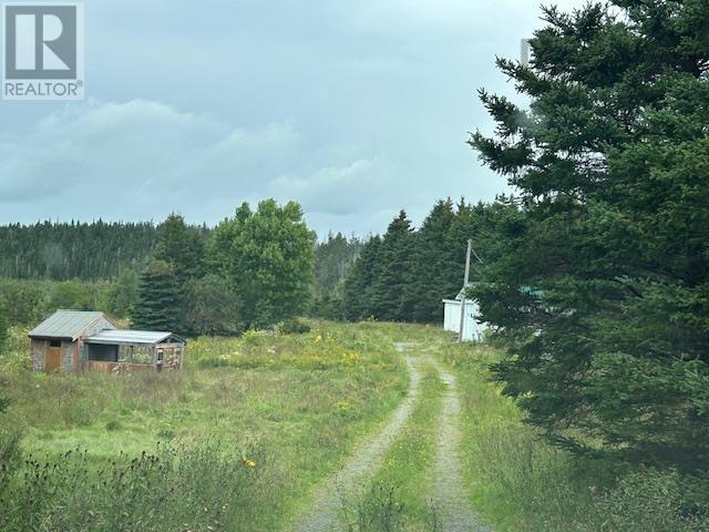picture 3