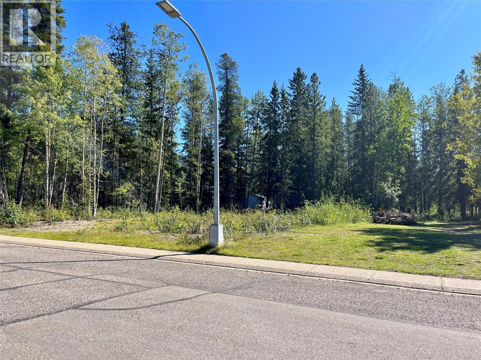 115 Red Willow Avenue, Tumbler Ridge, British Columbia  V0C 2W0 - Photo 4 - 10400119