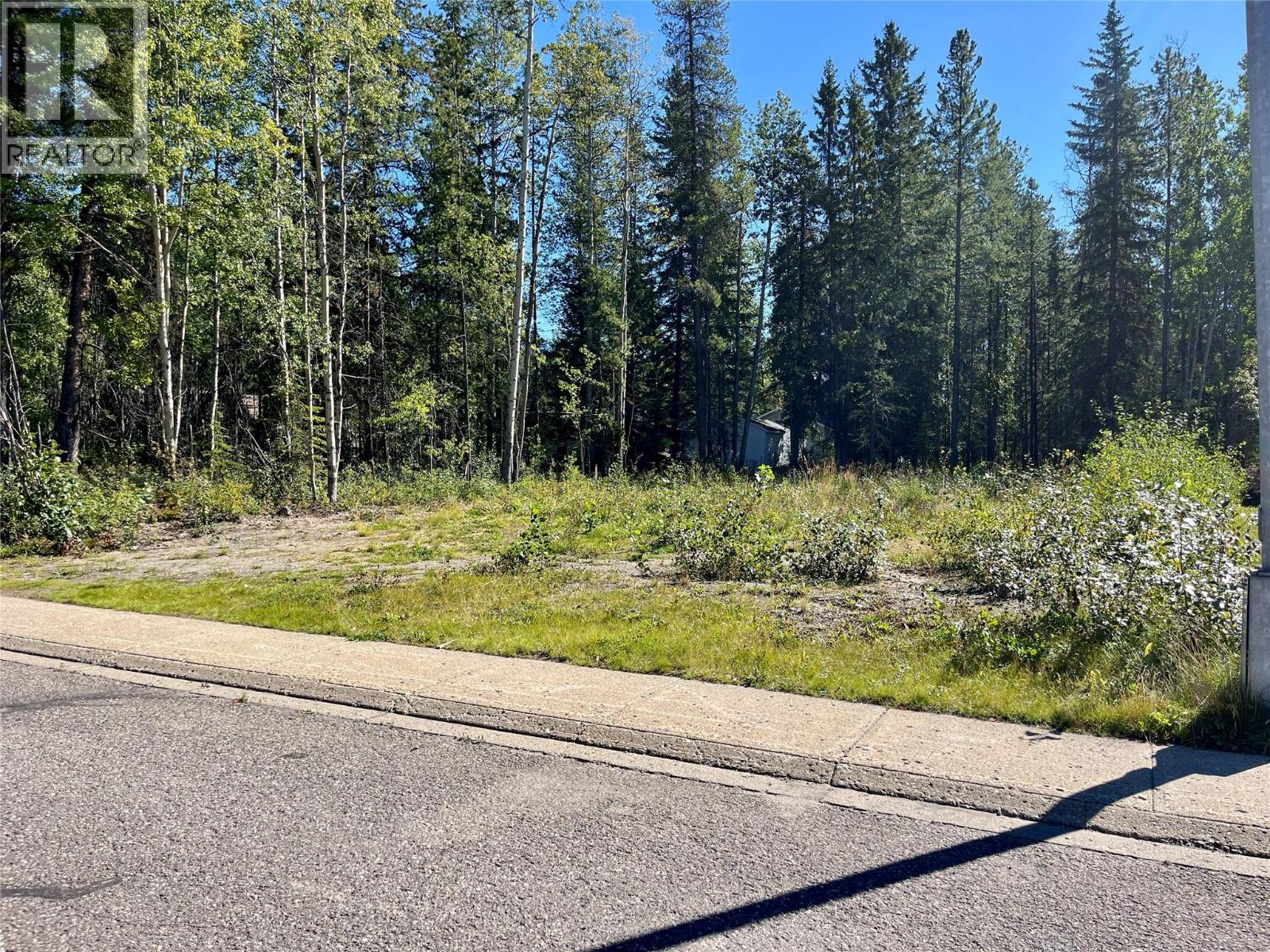 115 Red Willow Avenue, Tumbler Ridge, British Columbia  V0C 2W0 - Photo 2 - 10400119