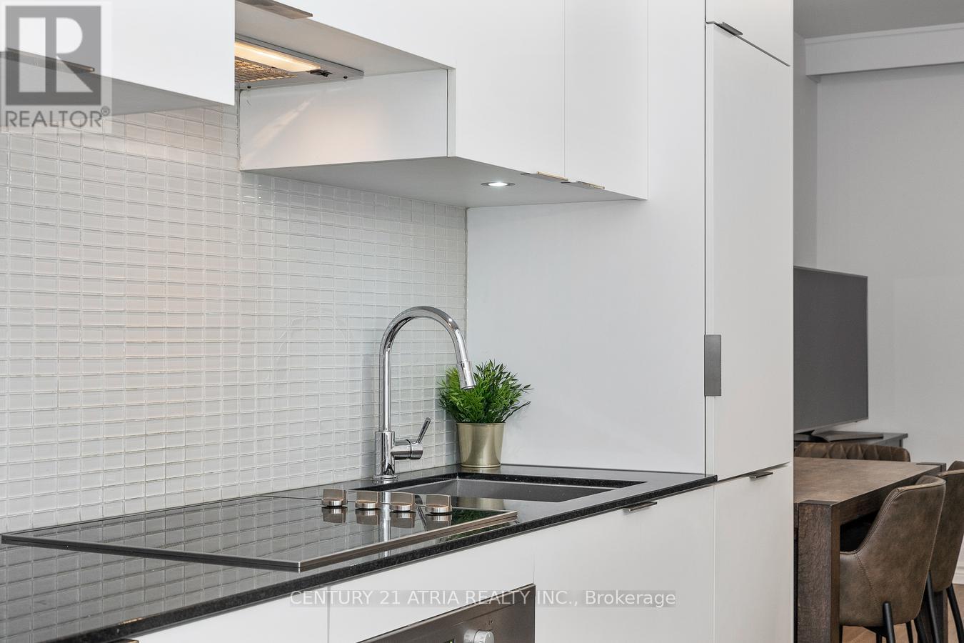 207 - 5 St Joseph Street, Toronto, Ontario  M4Y 1J6 - Photo 10 - C13766036