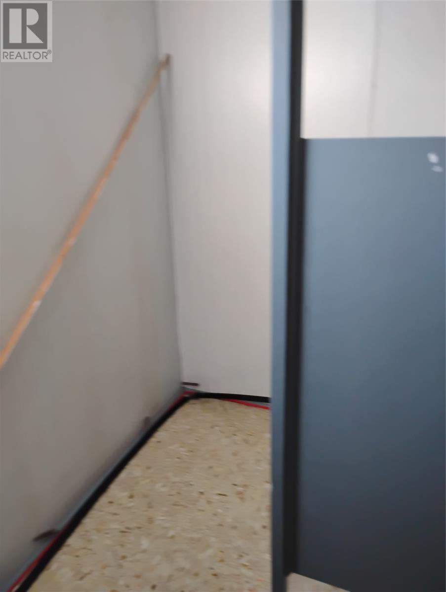 90 Grenfell Drive, Flowers Cove, Newfoundland & Labrador  A0K 2N0 - Photo 12 - 1292983
