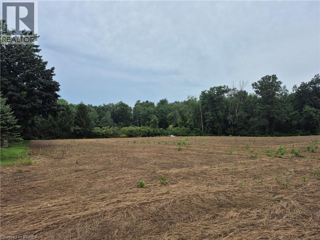 1 Seventh Concession Road, Burford, Ontario  N0E 1A0 - Photo 1 - 40861907