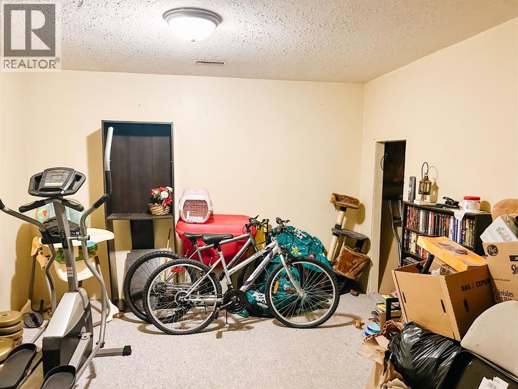 4548 46 Avenue, Rocky Mountain House, Alberta  T4T 1A2 - Photo 9 - A2337873