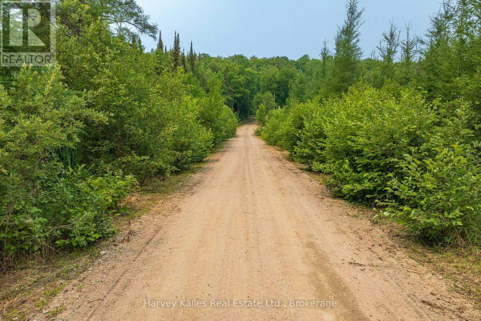 1106 North Pickerel Lake Road, Armour, Ontario  P0A 1C0 - Photo 46 - X13766436