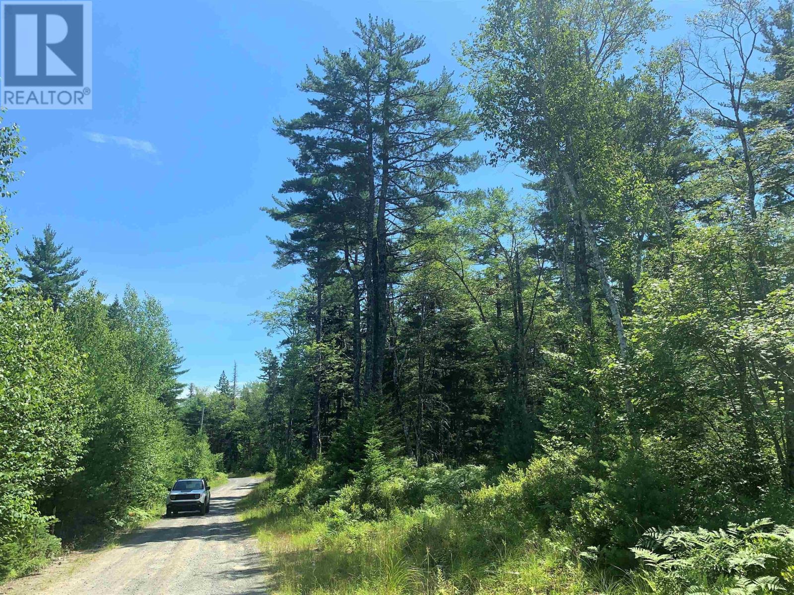 Lot 28, Boutilier Branch Road photo 6