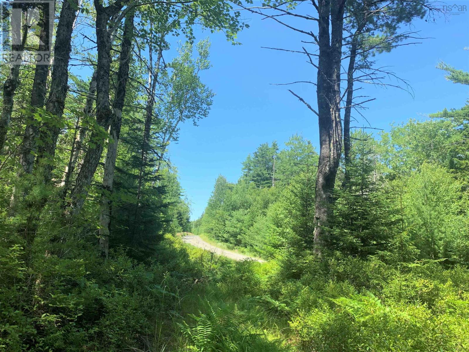Lot 28, Boutilier Branch Road photo 7