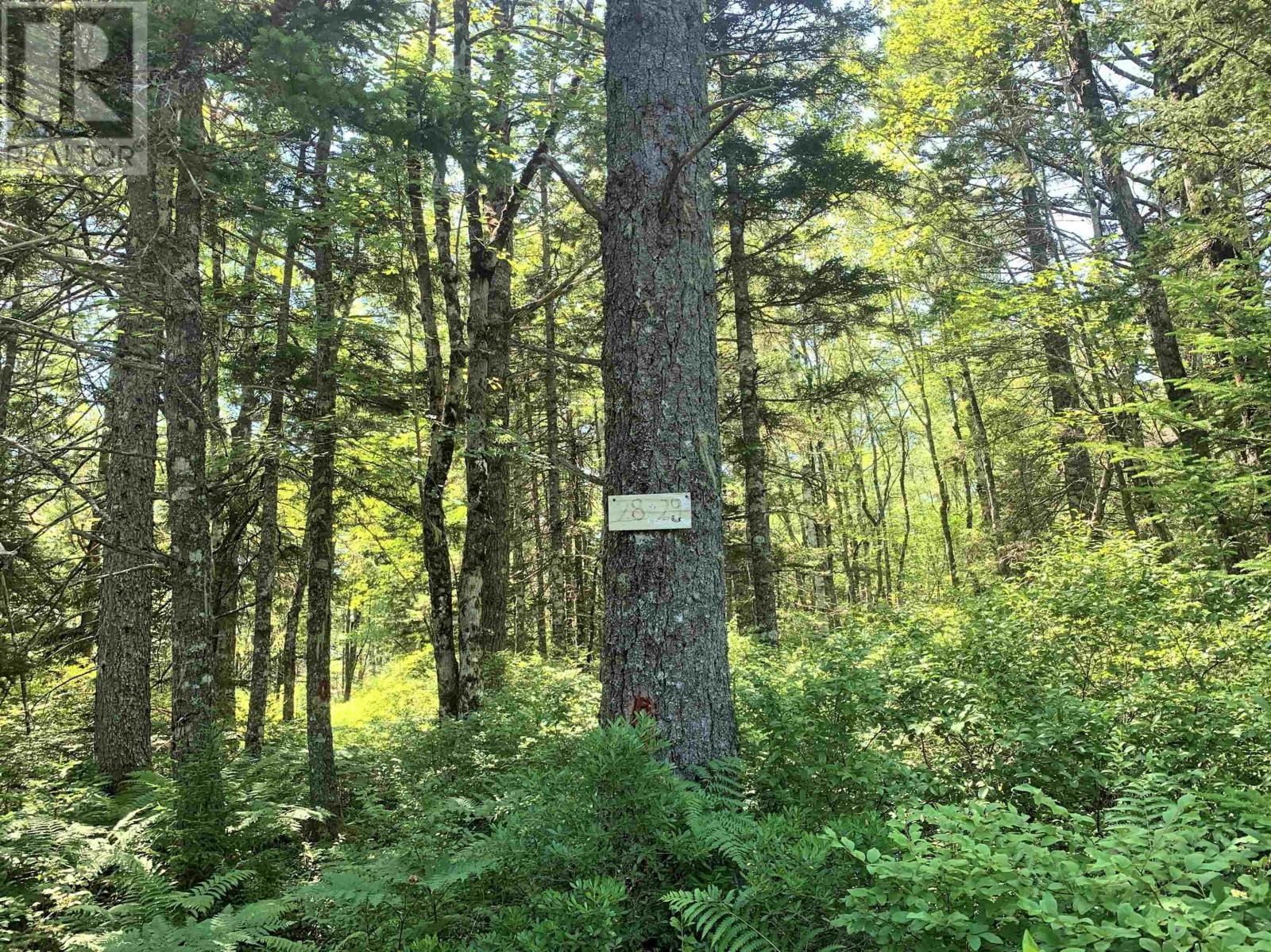 Lot 28, Boutilier Branch Road photo 9