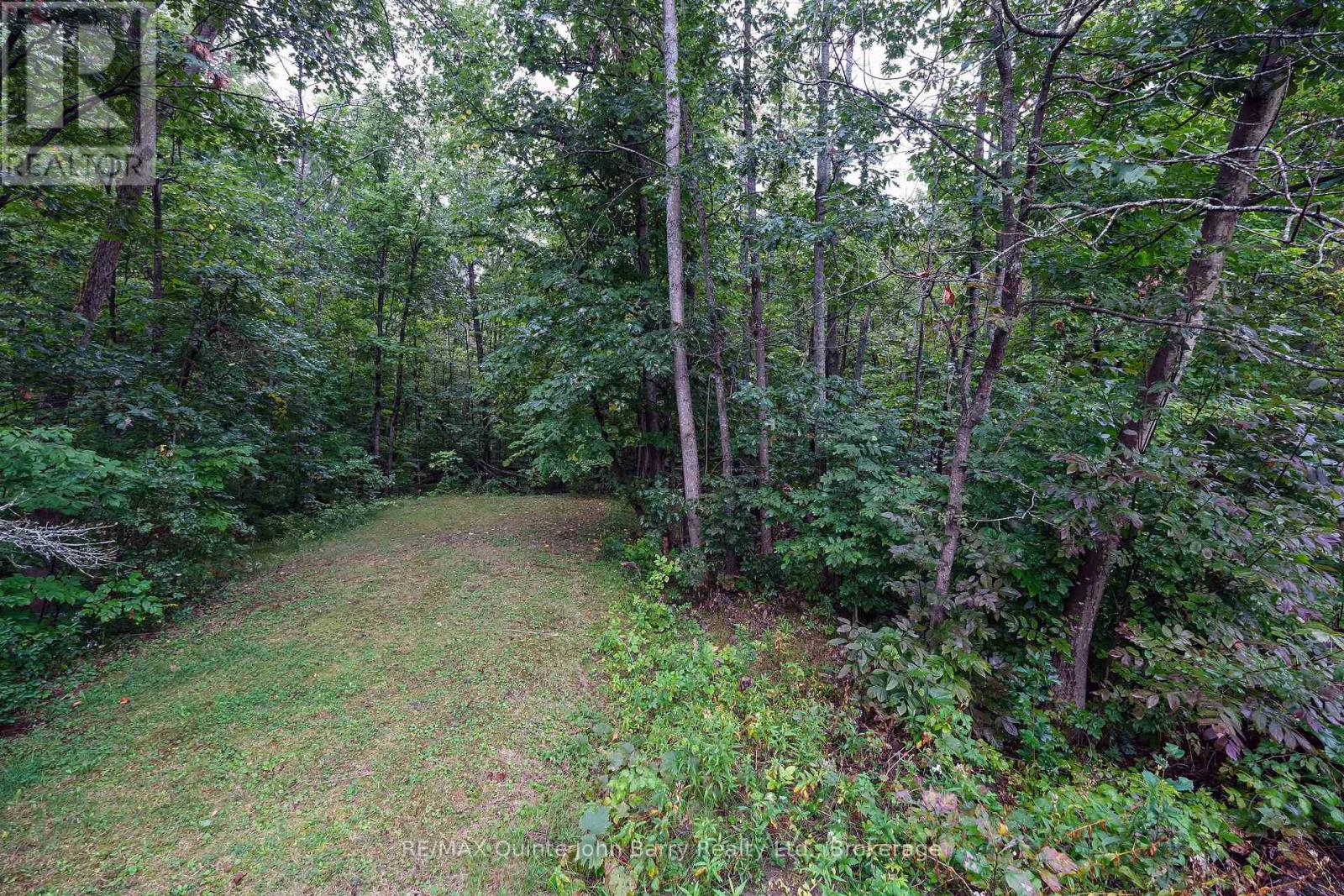 81 Rockhaven Road, Marmora And Lake, Ontario  K0K 2M0 - Photo 32 - X13766960