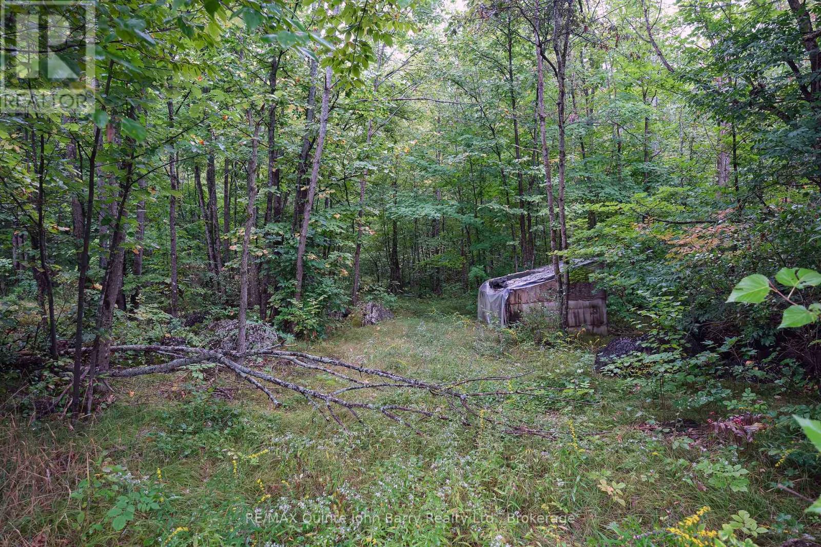 81 Rockhaven Road, Marmora And Lake, Ontario  K0K 2M0 - Photo 33 - X13766960