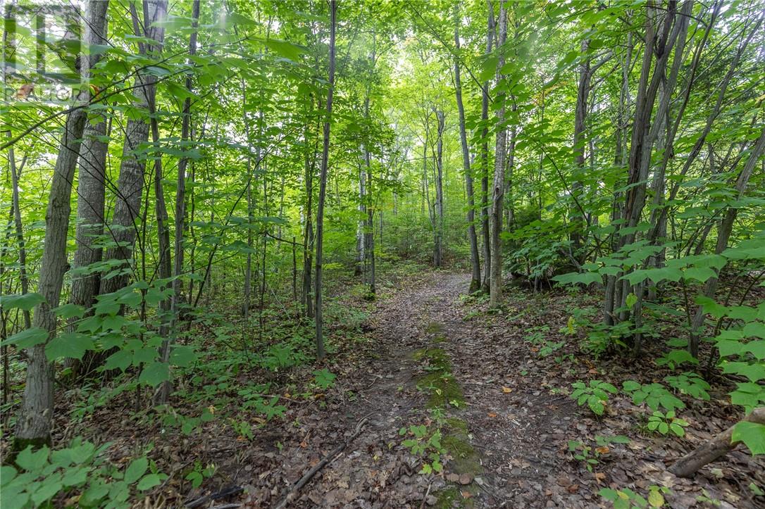1500 Bass Lake Road, Espanola, Ontario  P5E 1P9 - Photo 10 - 2130287