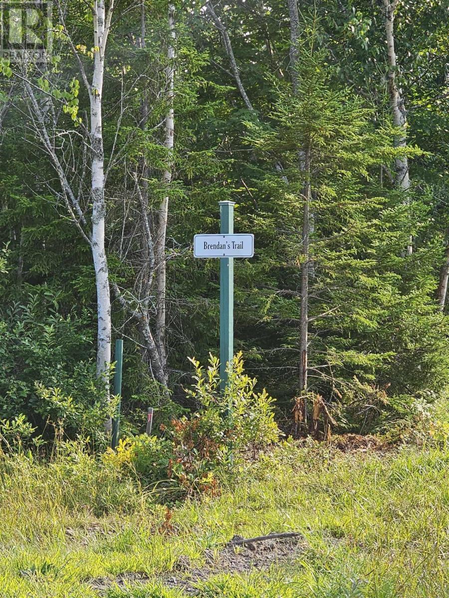 Lot 52 Fundy Lane, Two Islands, Nova Scotia  B0M 1S0 - Photo 17 - 202622719