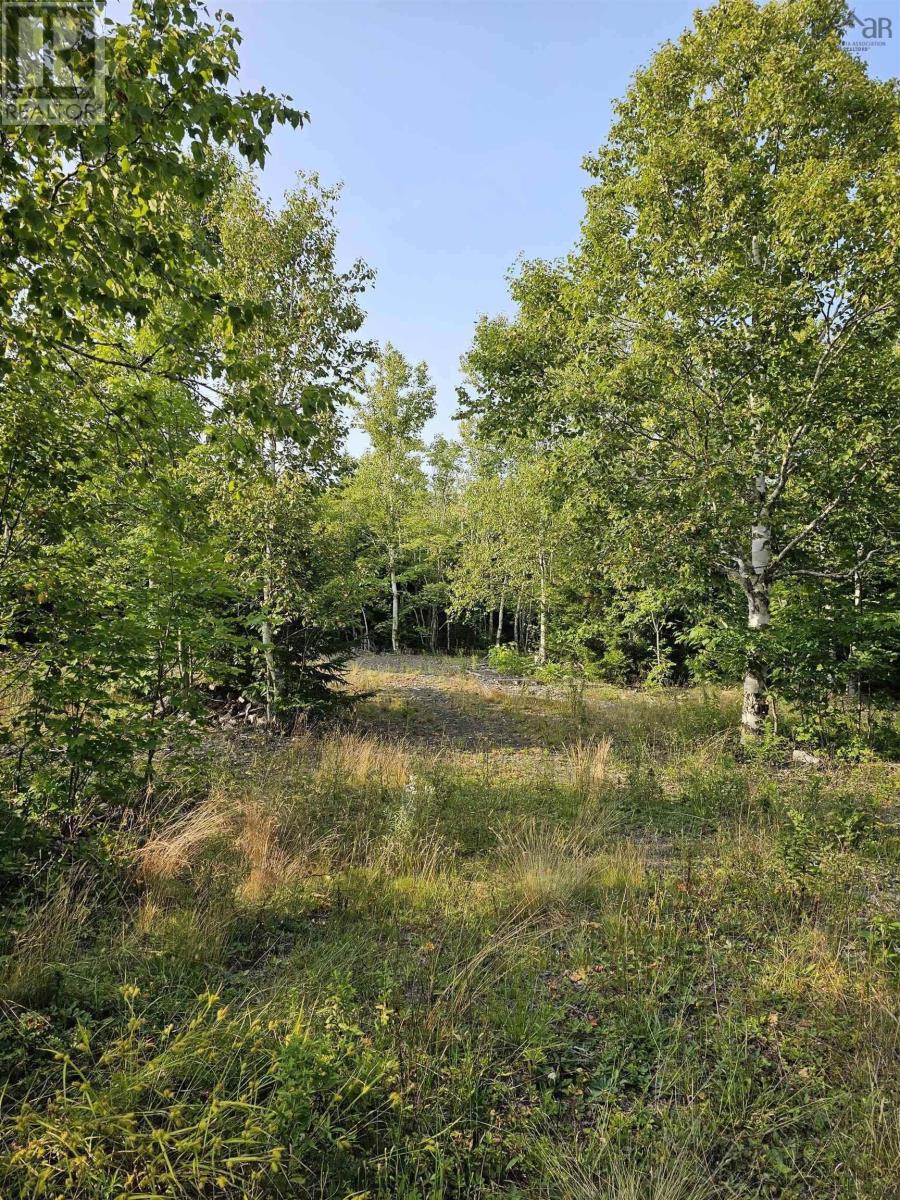 Lot 52 Fundy Lane, Two Islands, Nova Scotia  B0M 1S0 - Photo 15 - 202622719