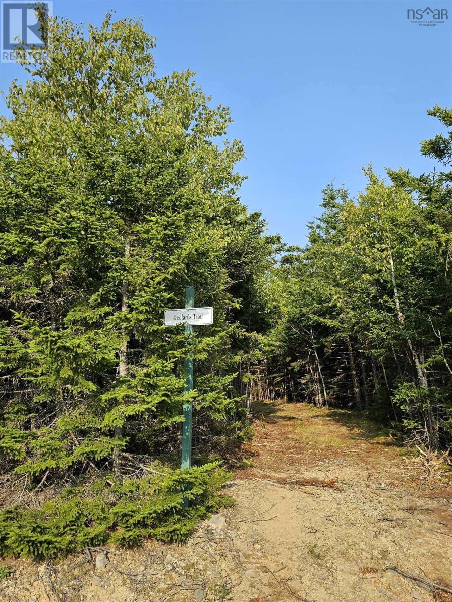 Lot 52 Fundy Lane, Two Islands, Nova Scotia  B0M 1S0 - Photo 22 - 202622719