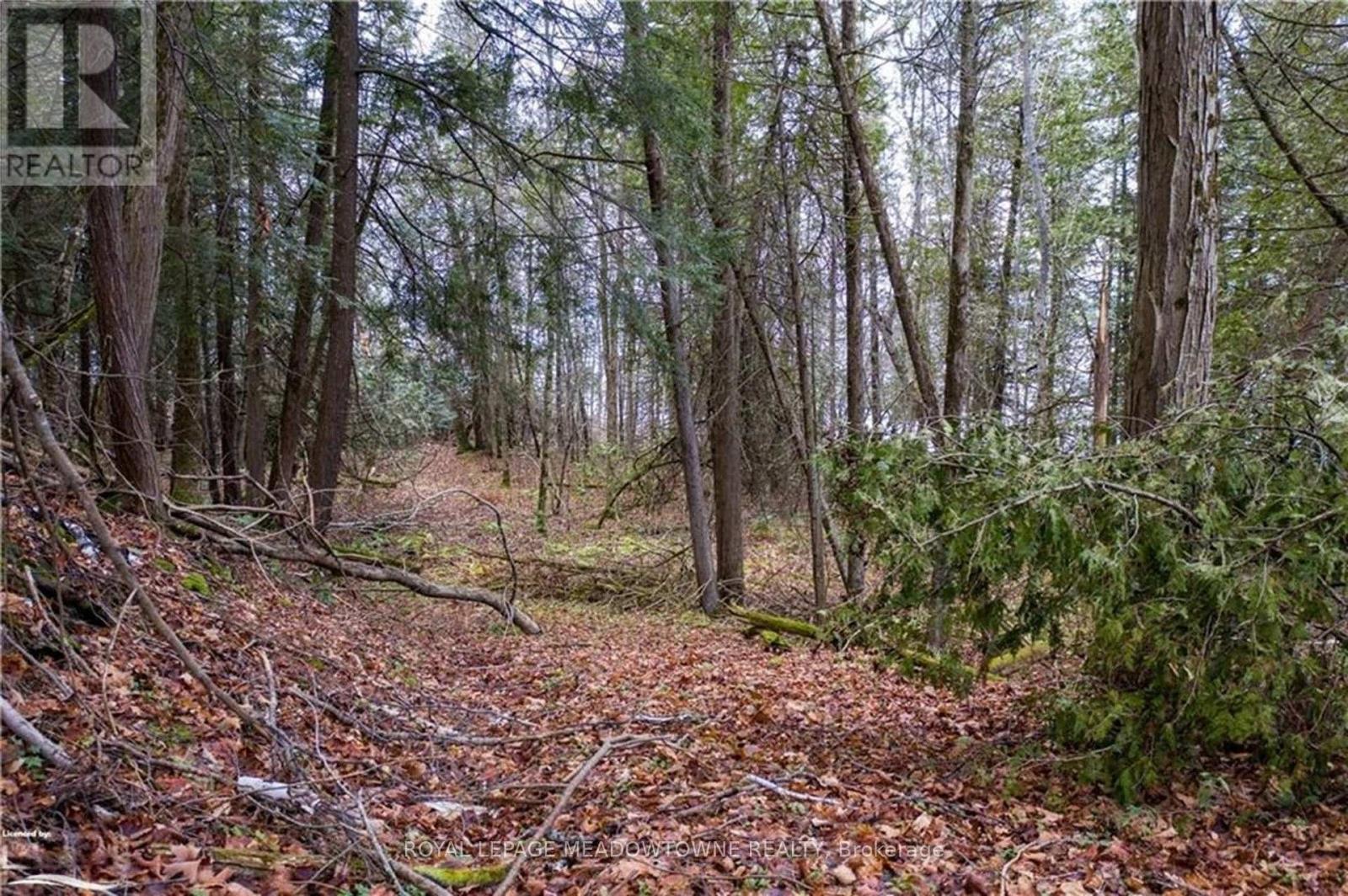 Lot 12 Eagle Ridge Drive, Meaford, Ontario  N0H 1B0 - Photo 5 - X13767140