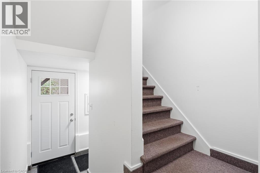 103 Marlborough Avenue, Kitchener, Ontario  N2M 1H7 - Photo 6 - 40862068