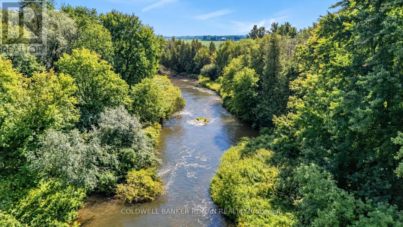 7602 25th Sideroad, Adjala-Tosorontio, Ontario  L9R 1V4 - Photo 41 - N13756938