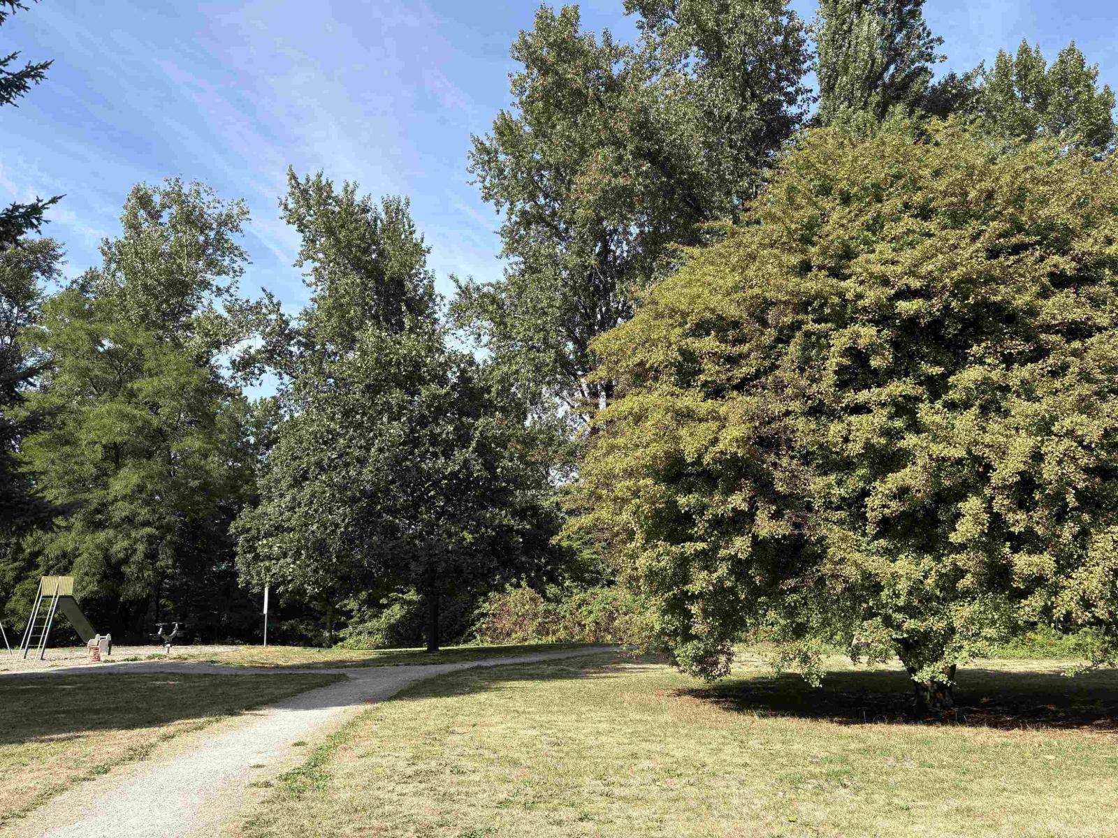 13139 111 Avenue, Surrey, British Columbia  V3T 2S3 - Photo 16 - R3163846