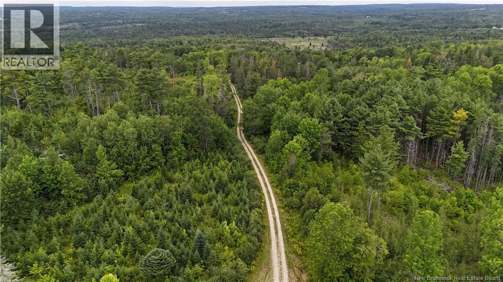 . Upper Waweig Road, Waweig, New Brunswick  E3L 4N5 - Photo 39 - NB146009