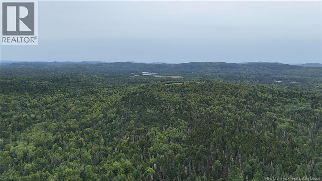 . Upper Waweig Road, Waweig, New Brunswick  E3L 4N5 - Photo 38 - NB146009