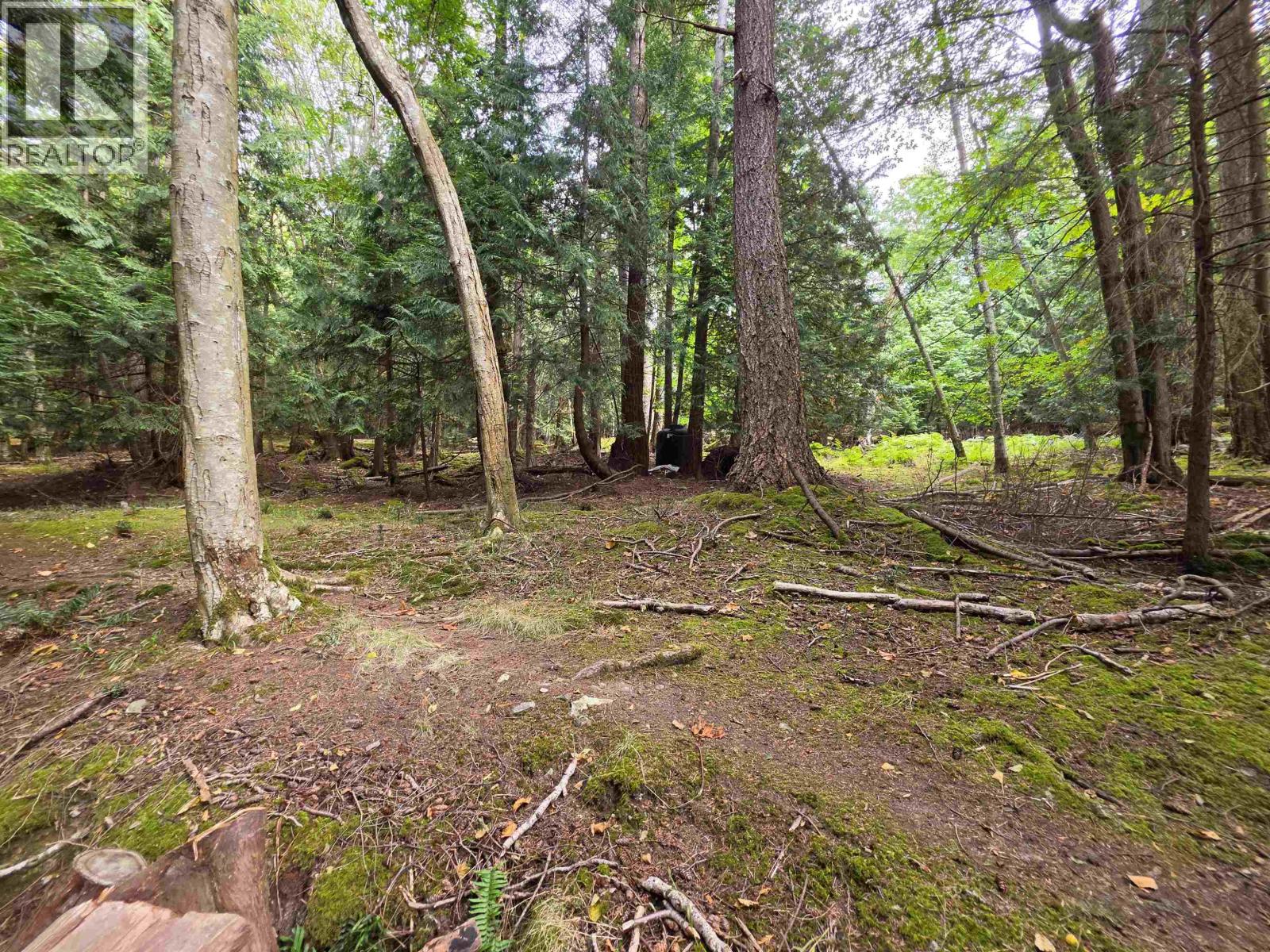 Site 8 Sc 122 Bowyer Island Estates, Other Islands, British Columbia  V0V 1V0 - Photo 27 - R3163778