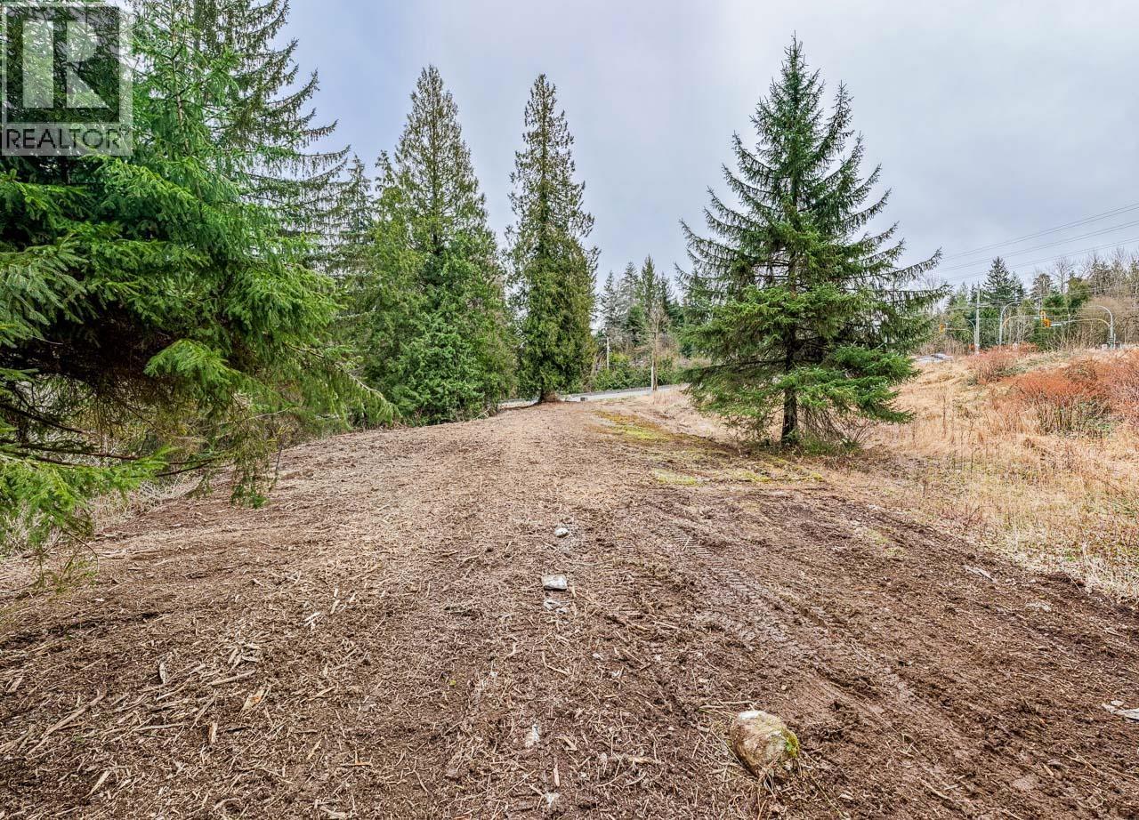 12041 256th Street, Maple Ridge, British Columbia  V4R 1B5 - Photo 17 - R3163752