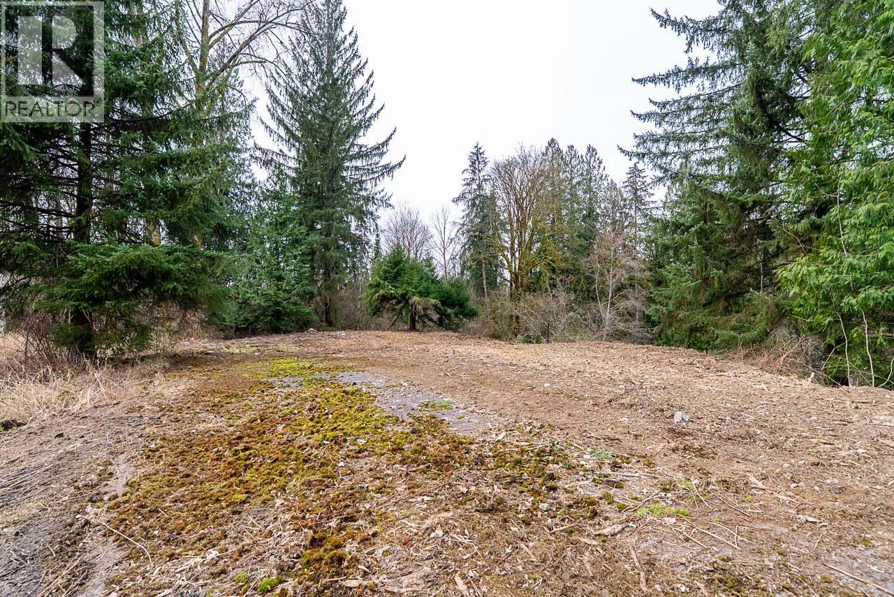12041 256th Street, Maple Ridge, British Columbia  V4R 1B5 - Photo 26 - R3163752