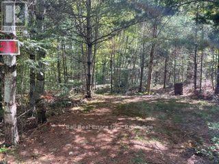 Pt Lt 15 Con 13 Alton Road, Minden Hills, Ontario  K0M 2K0 - Photo 8 - X13759354