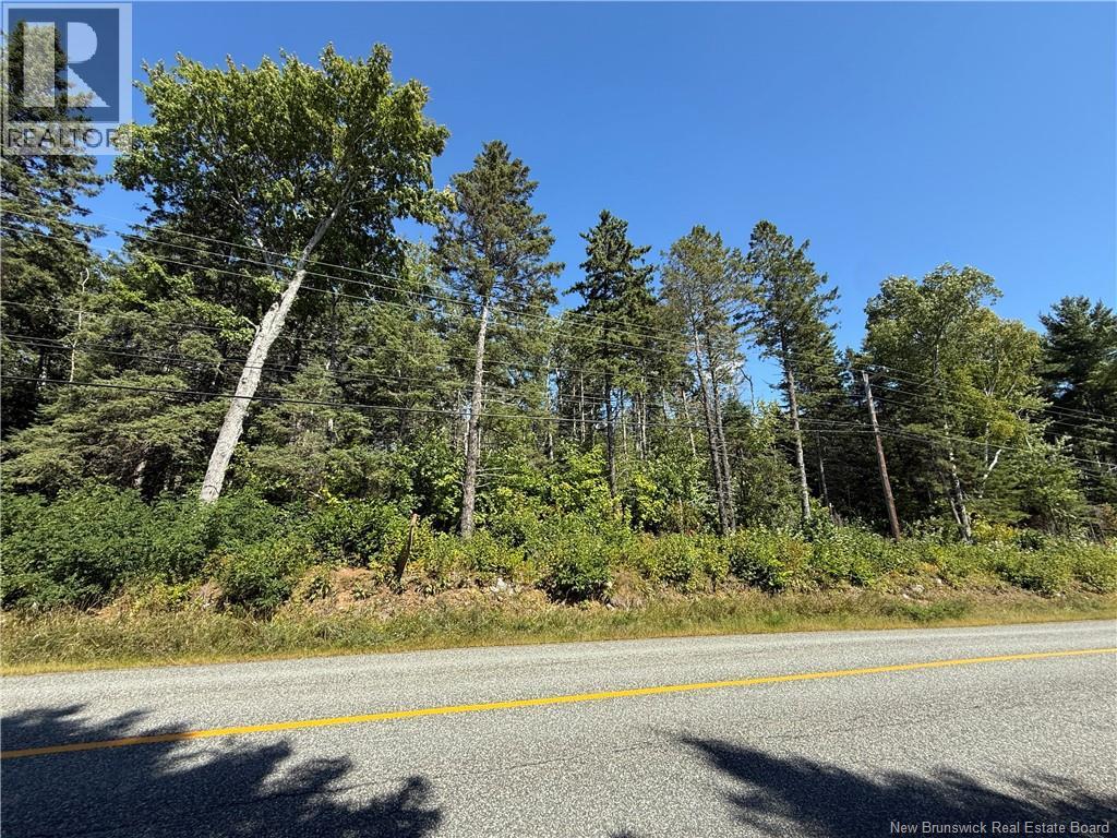 Lot 26-01 Route 105, Upper Queensbury, New Brunswick  E6G 1X1 - Photo 5 - NB147425