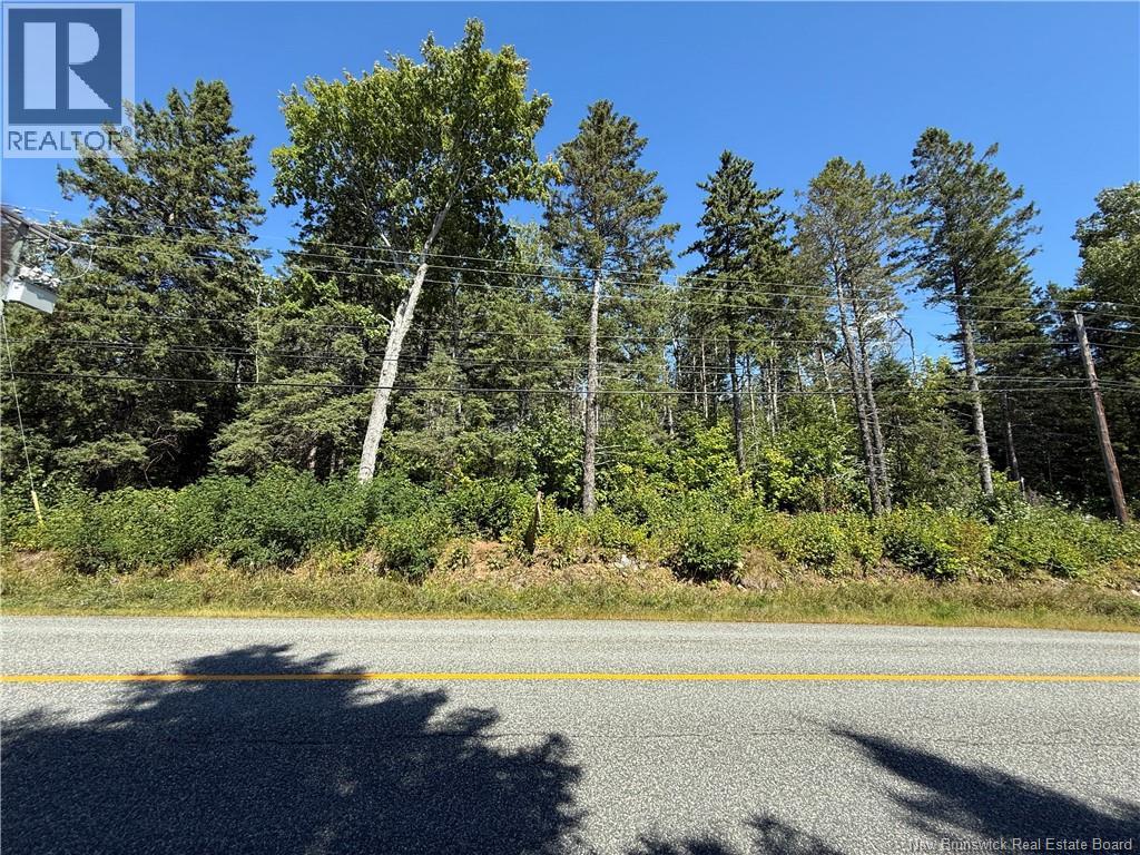 Lot 26-01 Route 105, Upper Queensbury, New Brunswick  E6G 1X1 - Photo 4 - NB147425