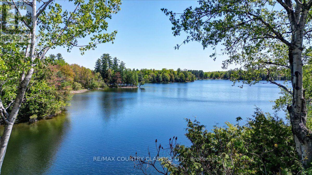 29 Brown Lane, Bancroft, Ontario  K0L 1C0 - Photo 21 - X13767486