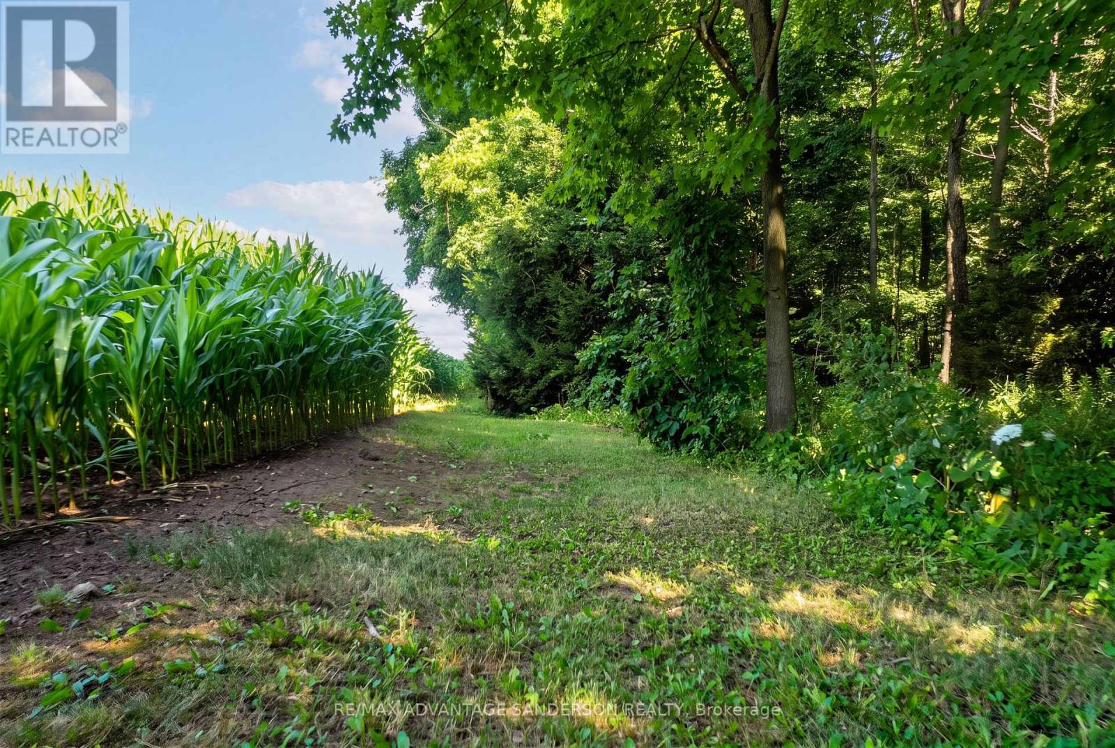 14677 Ten Mile Road, Middlesex Centre, Ontario  N0M 2A0 - Photo 18 - X13767704