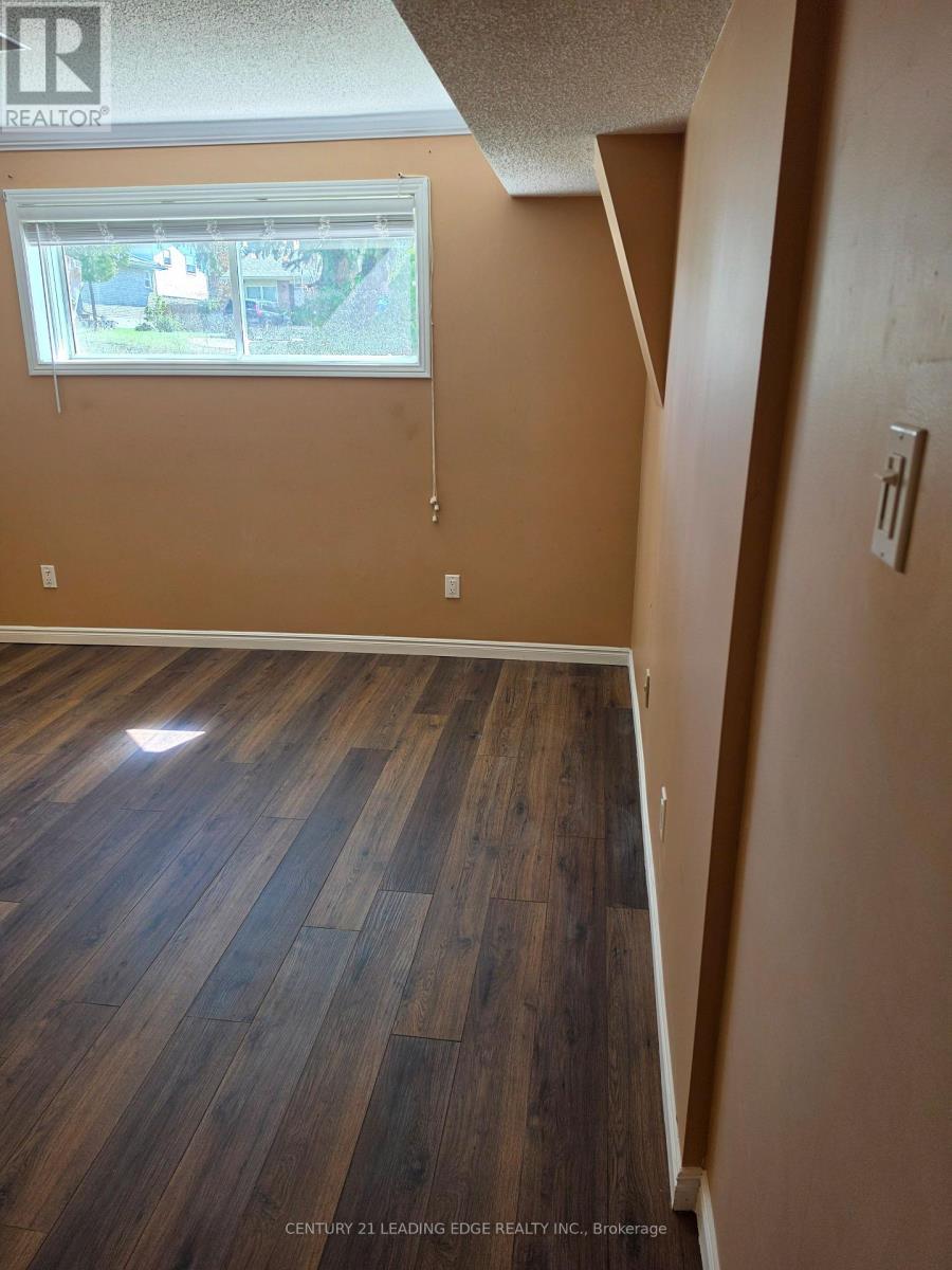Lower - 142 Oakcrest Drive, Georgina (Keswick North), Ontario  L4P 3J1 - Photo 10 - N13767804