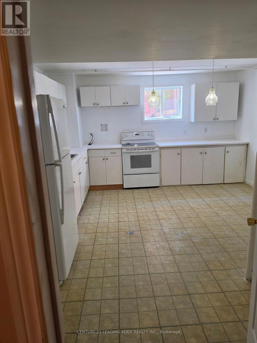 Lower - 142 Oakcrest Drive, Georgina (Keswick North), Ontario  L4P 3J1 - Photo 19 - N13767804