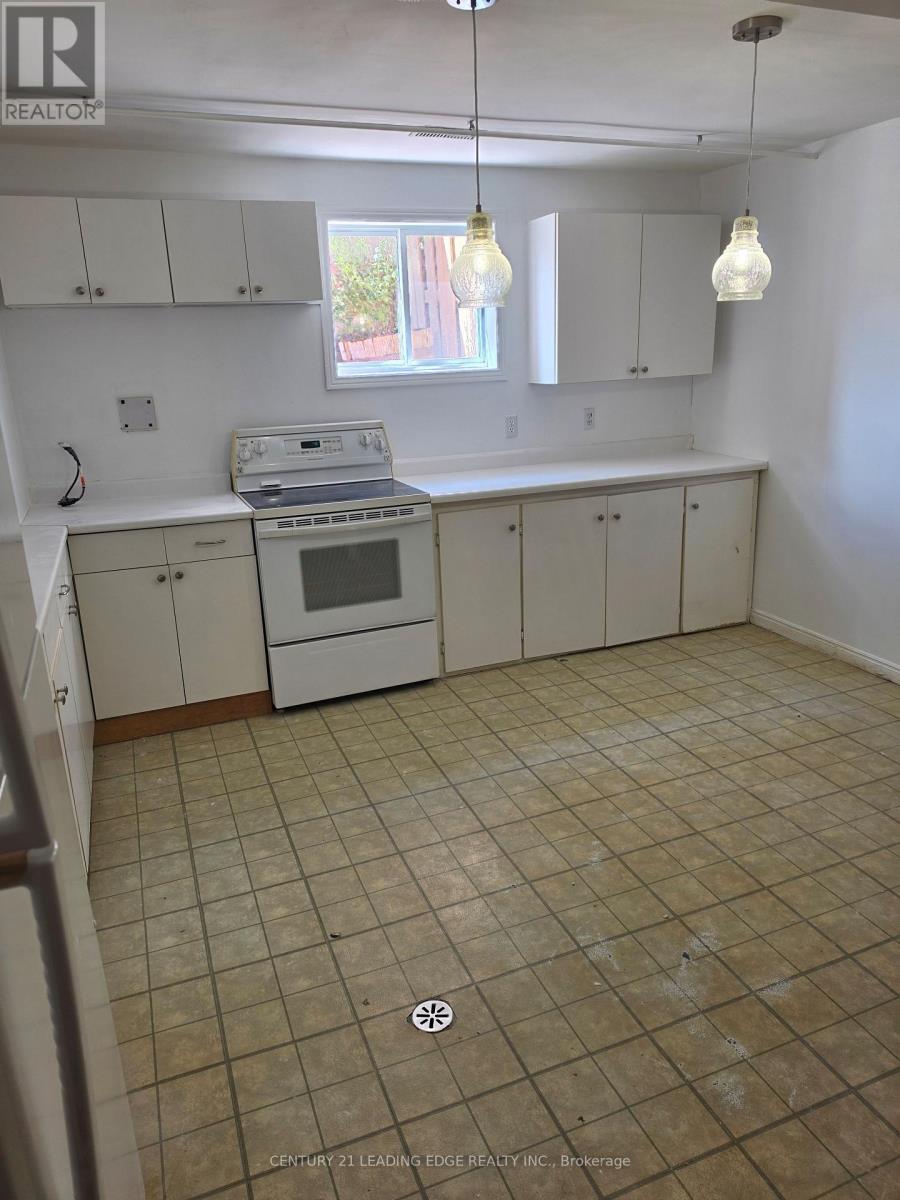 Lower - 142 Oakcrest Drive, Georgina (Keswick North), Ontario  L4P 3J1 - Photo 21 - N13767804