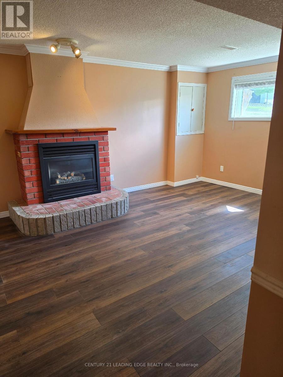 Lower - 142 Oakcrest Drive, Georgina (Keswick North), Ontario  L4P 3J1 - Photo 9 - N13767804