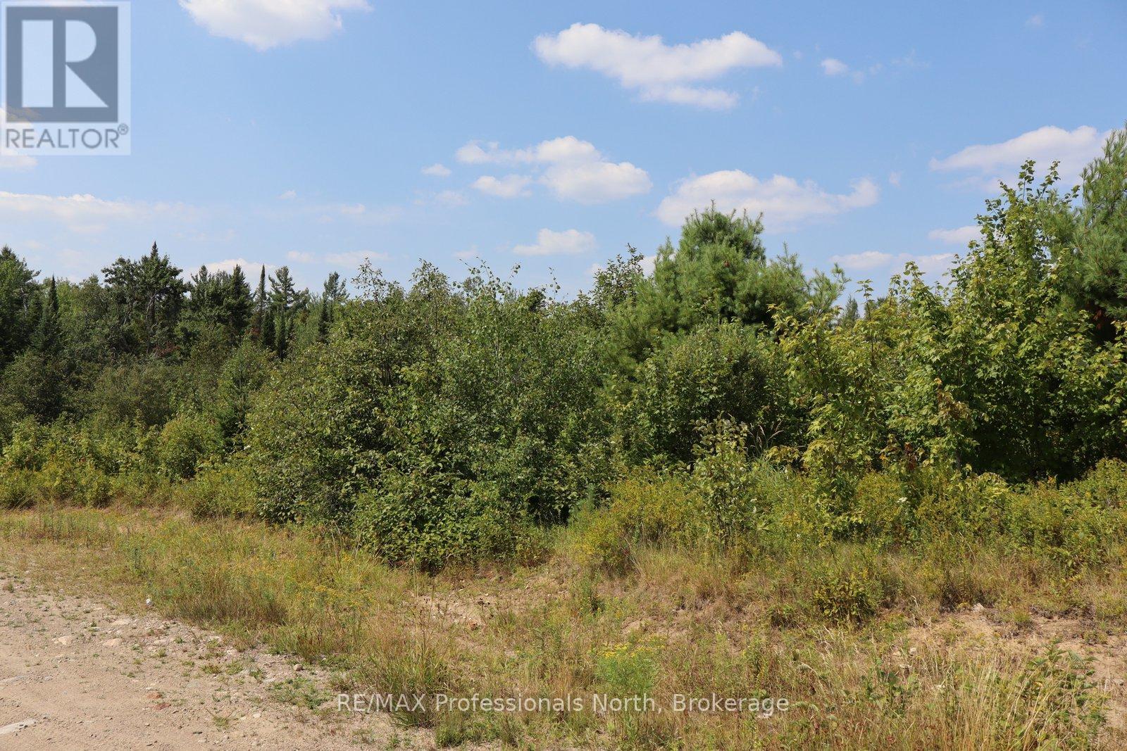 1070 Piper Glen Road, Minden Hills, Ontario  K0M 2K0 - Photo 4 - X13767700