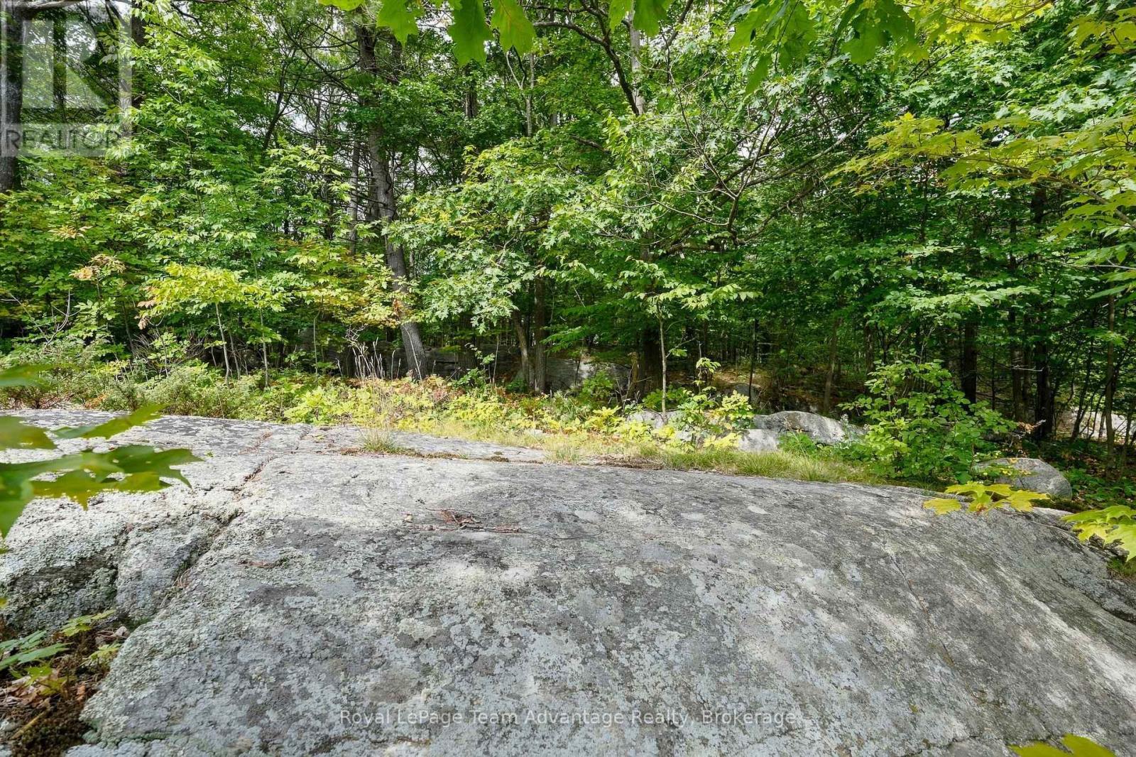 65 Isabella Street, Parry Sound, Ontario P2A 1M6 - Photo 30 - X13767728