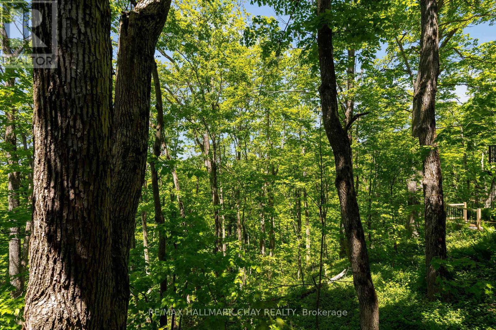 47 Cathedral Pines Road, Oro-Medonte (Horseshoe Valley), Ontario  L4M 4Y8 - Photo 36 - S13767640