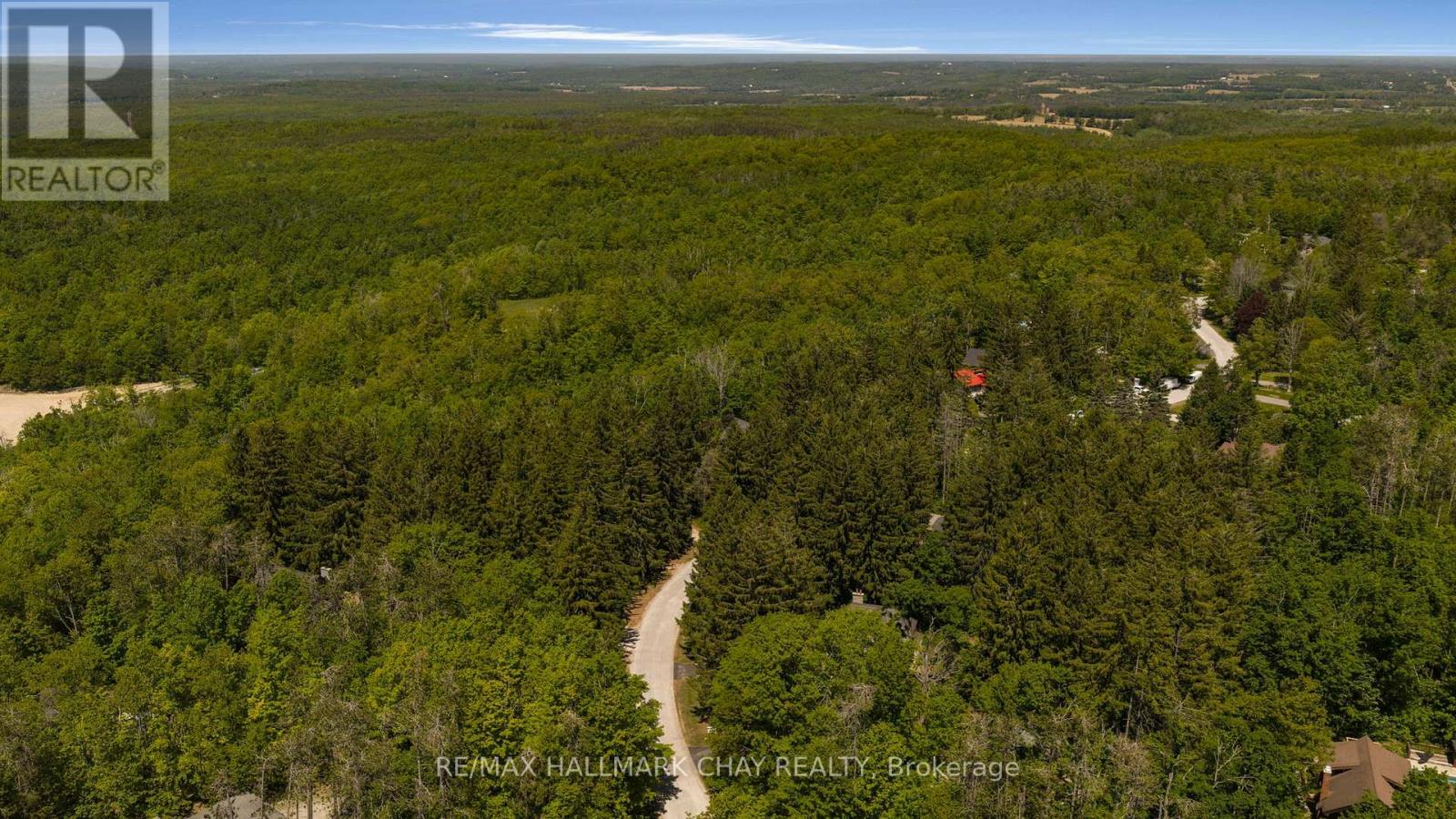 47 Cathedral Pines Road, Oro-Medonte (Horseshoe Valley), Ontario  L4M 4Y8 - Photo 41 - S13767640