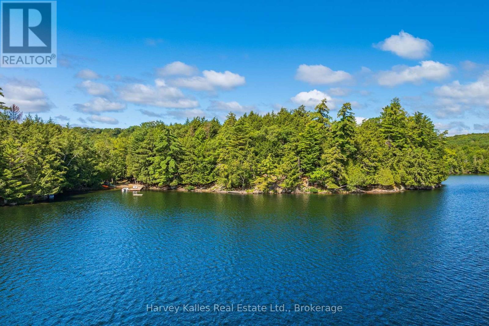 1353 Port Cunnington Road, Lake Of Bays (Franklin), Ontario  P0A 1H0 - Photo 26 - X13767852