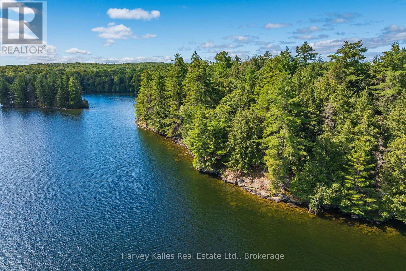 1353 Port Cunnington Road, Lake Of Bays (Franklin), Ontario  P0A 1H0 - Photo 27 - X13767852
