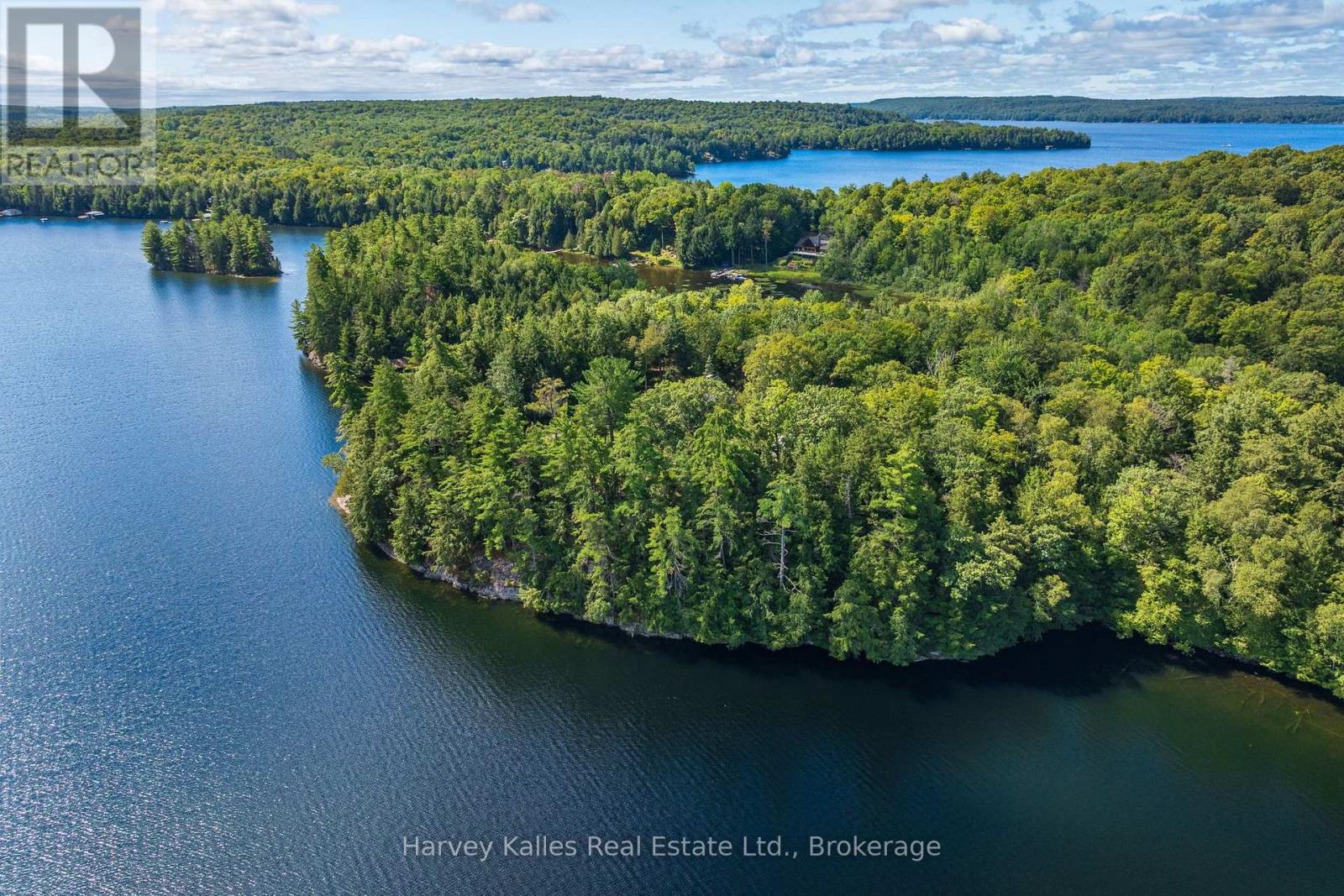 1353 Port Cunnington Road, Lake Of Bays (Franklin), Ontario  P0A 1H0 - Photo 6 - X13767852