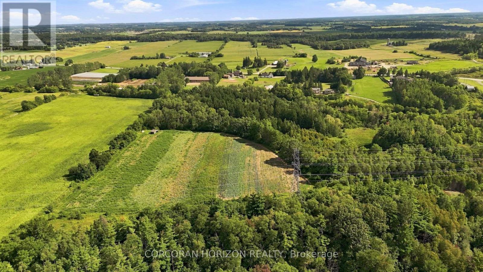 1238 Snyder's Road E, Wilmot, Ontario  N3A 3L3 - Photo 2 - X13733304