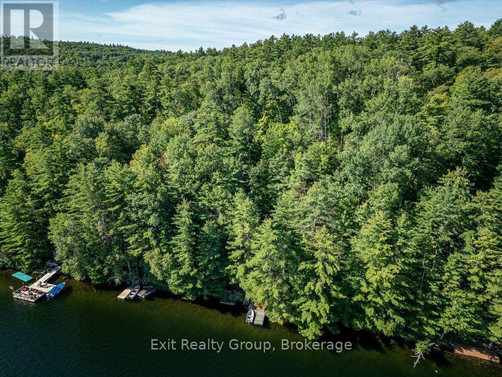 2010 Shabomeka Lake, Frontenac (Frontenac North), Ontario  K0H 1K0 - Photo 38 - X13768070