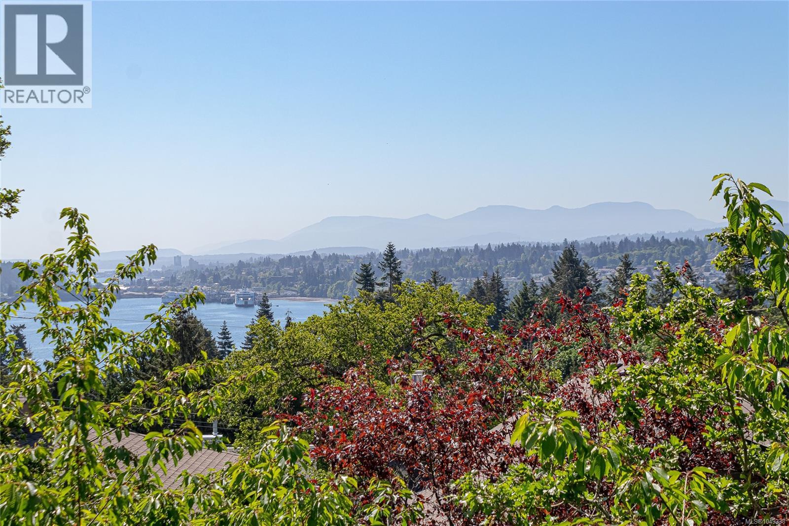 picture 54
