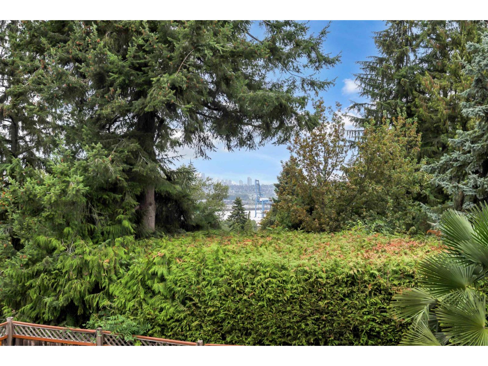 11361 96 Avenue, Surrey, British Columbia  V3V 1V7 - Photo 39 - R3164004