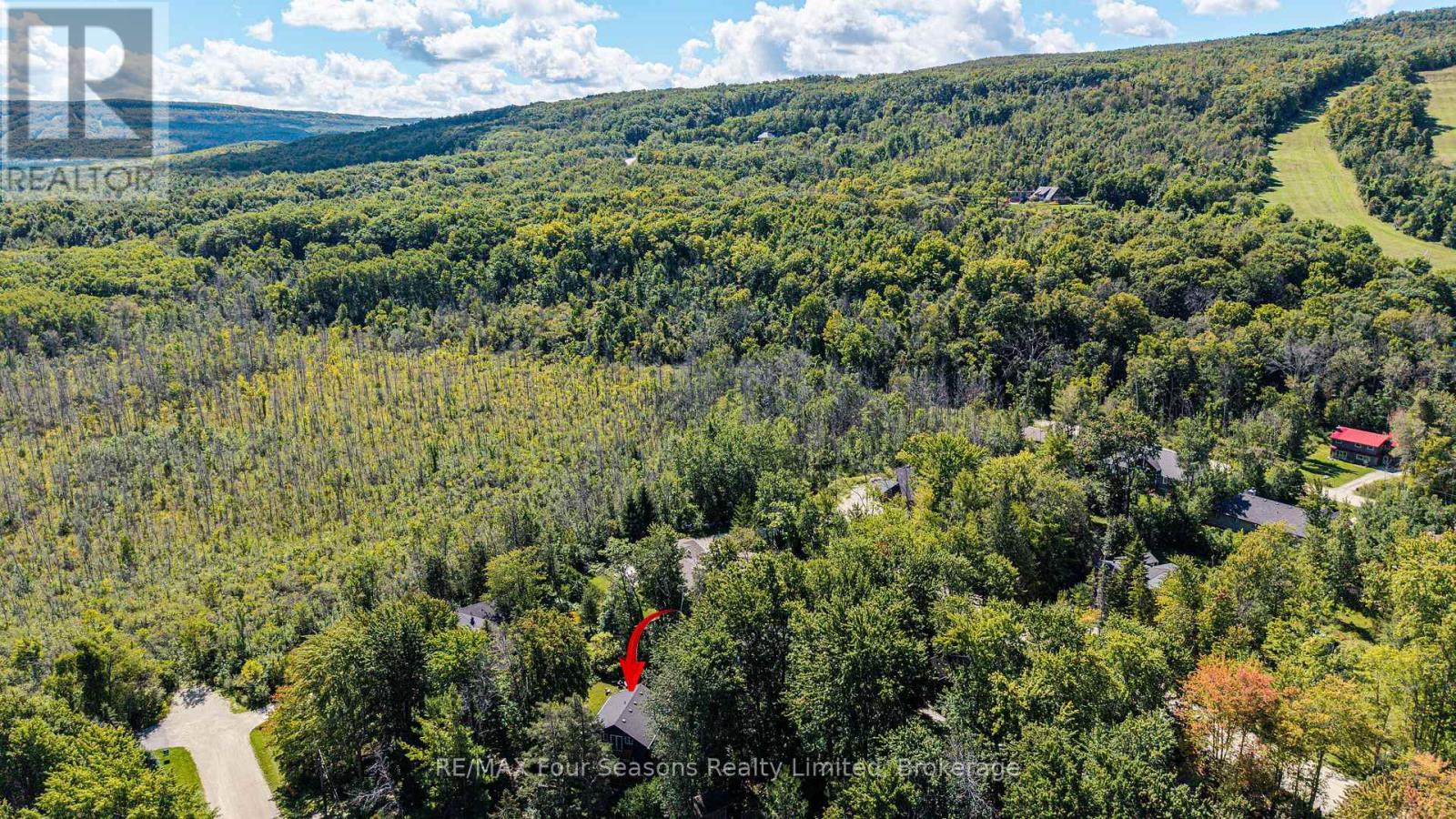 126 Martin Grove N, Blue Mountains, Ontario  L9Y 0N5 - Photo 45 - X13768476